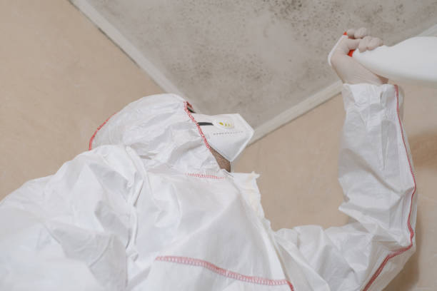Best Mold Testing and Inspection Services in Stanton, TX